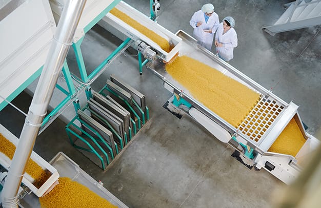Food Production and Factory Cleaning