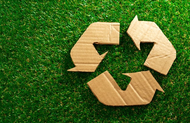 swanley-green-cleaning